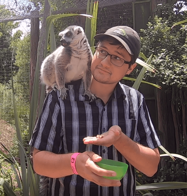 29 – AMAA&nbsp;2019