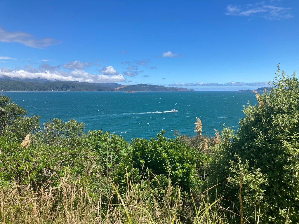 147 – The&nbsp;Negotiator