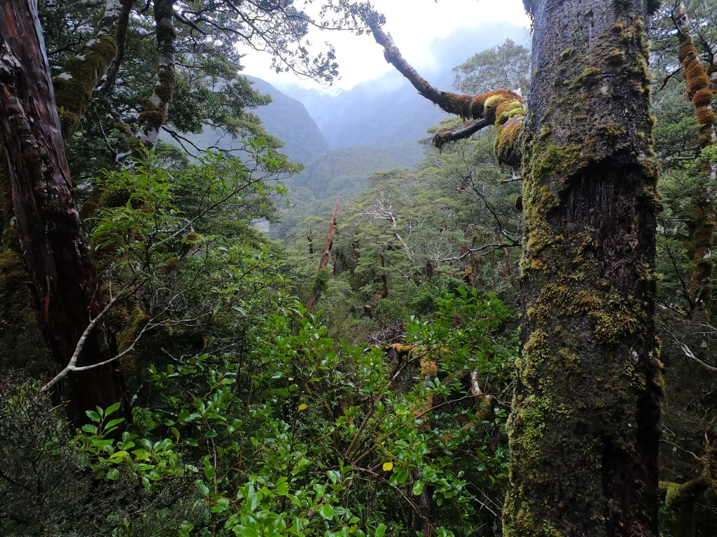 178 – No Retreat (Cause We Done&nbsp;Goofed)